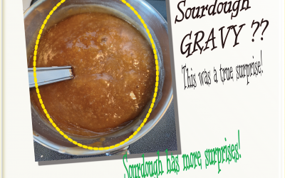 Sourdough Gravy Can Make Your Day!